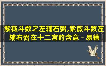 紫薇斗数之左辅右弼,紫薇斗数左辅右弼在十二宫的含意 - 易德居